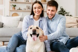 7 top tips for securing a rental property with pets.